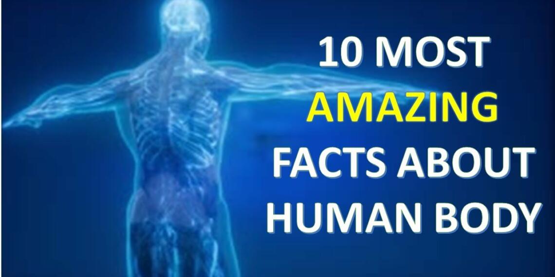 15 Unknown and Amazing facts about human body - Tfipost.com