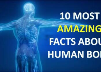 facts about human body