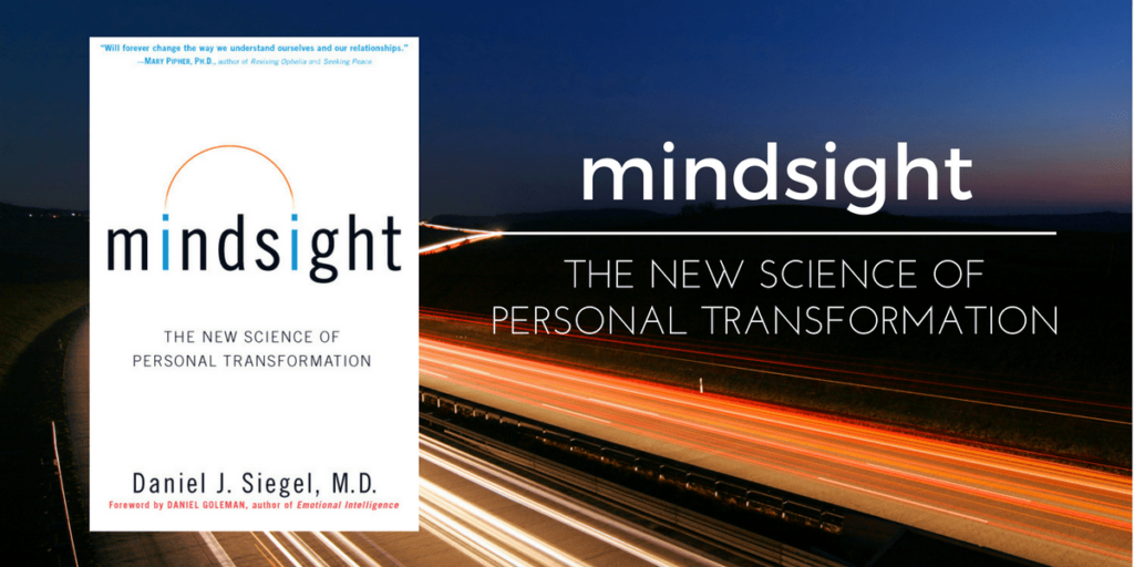 Mindsight book lessons and summary