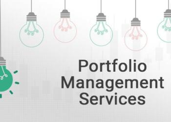 Portfolio Management Services types