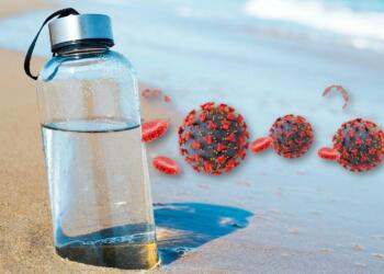 Reusable water bottles have 40,000 times more bacteria than a toilet seat