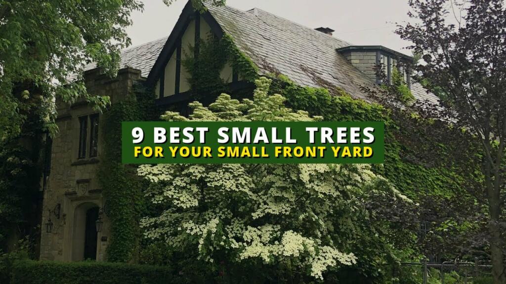 best trees for home garden