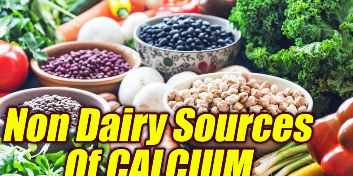 Nourishing Alternatives TOP 10 NonDairy Foods High in Calcium