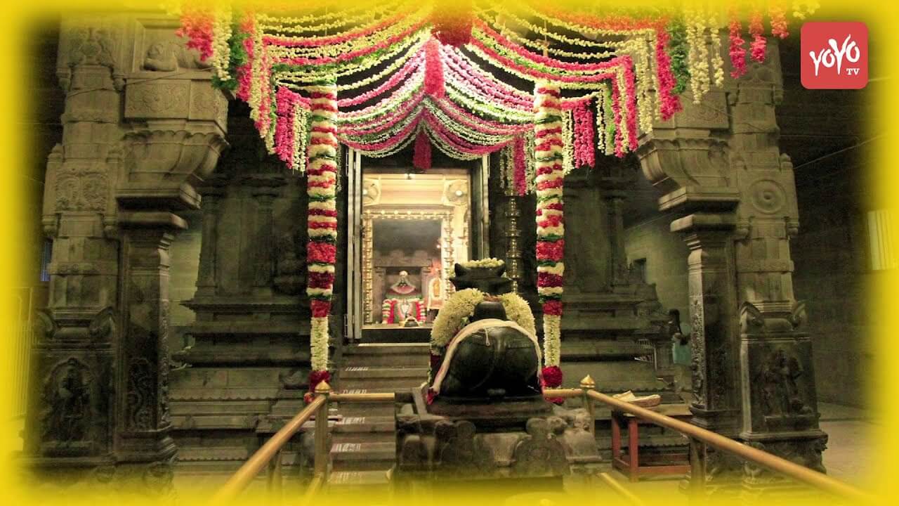 Arunachalam Temple darshan 