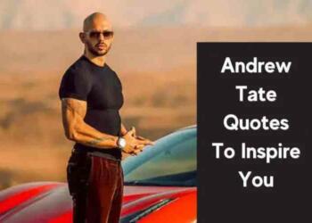 Andrew Tate Quotes