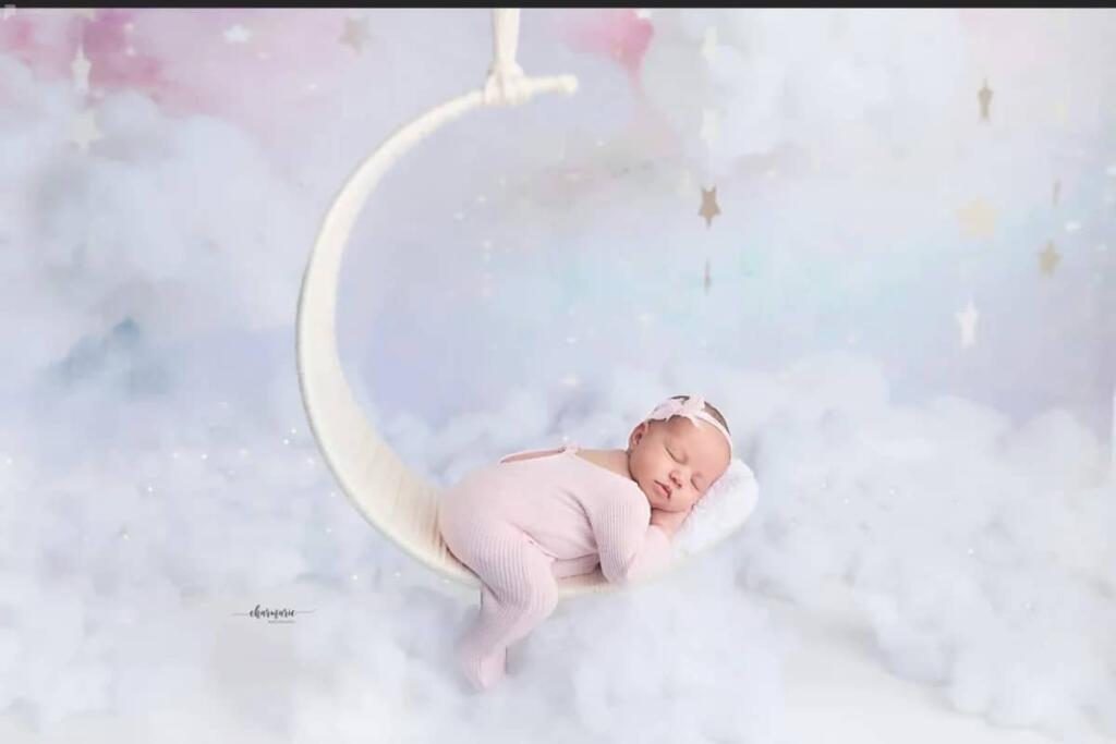 Baby Shower Photoshoot Ideas poster