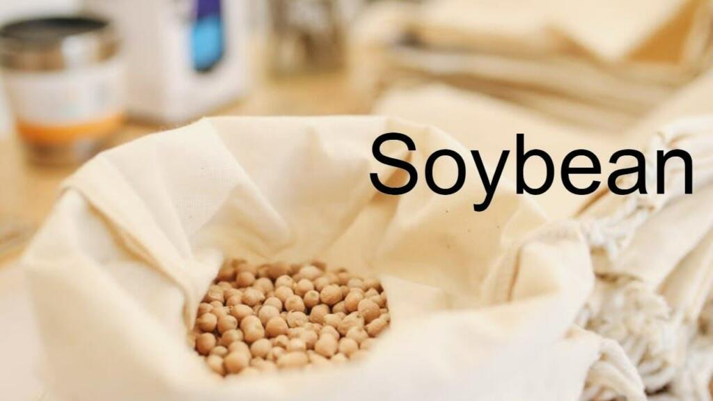 Benefits of Soybeans