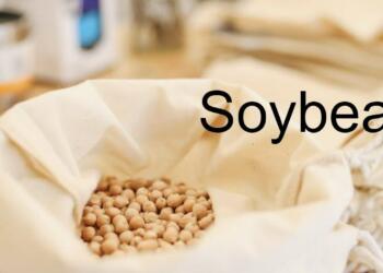 Benefits of Soybeans