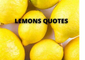 Lemons quotes and captions