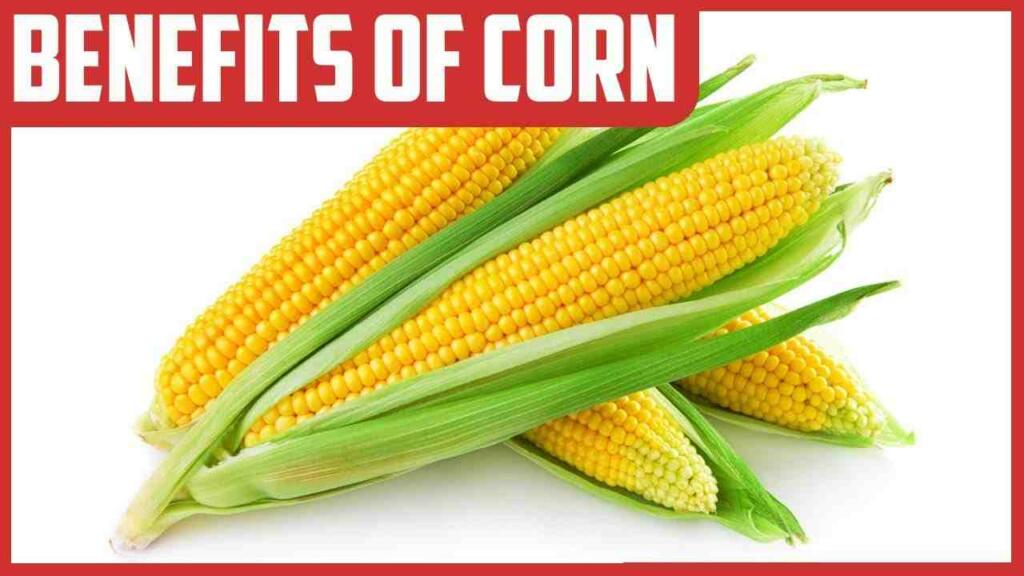 10 Health benefits of Corn