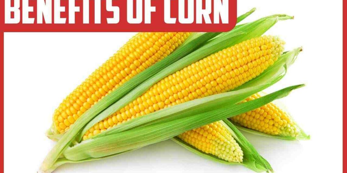 Discover The Incredible Science Based Health Benefits Of Corn