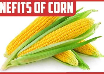 10 Health benefits of Corn