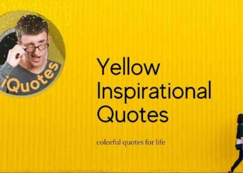 Yellow quotes and captions