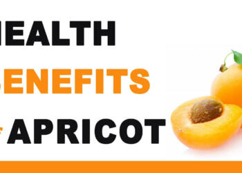 health benefits of Apricot