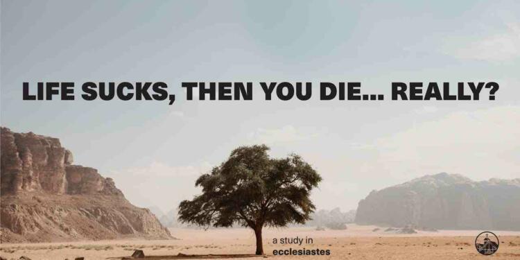 Life Sucks quotes