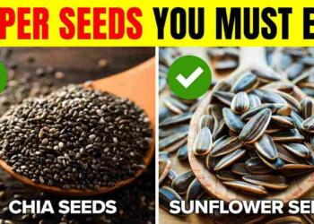 The top 9 seeds you should eat every day!