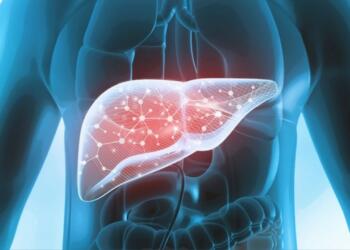 Top Common Causes of Fatty Liver