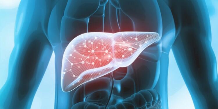 Top Common Causes of Fatty Liver