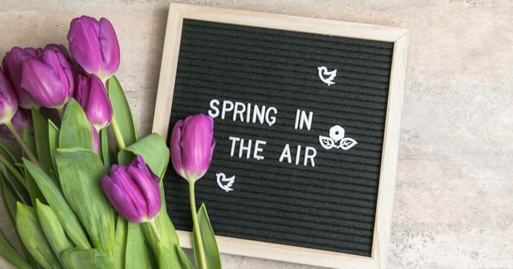 Spring Letterboard Quotes