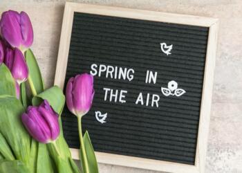 Spring Letterboard Quotes