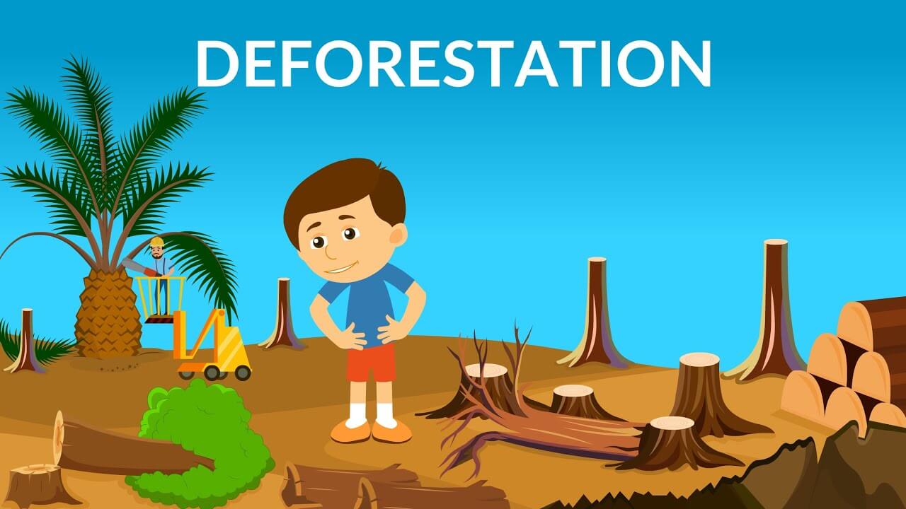 stop #deforestation #drawing #friend #occhipintiink  https://financerexpress.uk/stop-deforestation-my-drawing-made-in-2013-done-on-my-friend-occhipinti_ink/  - financerexpres - Medium