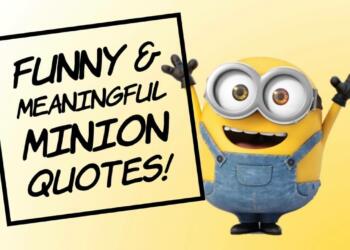Funniest Minion Quotes and Captions