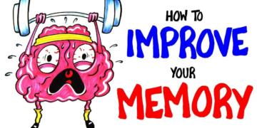 Memory Boosting Techniques That Actually Works