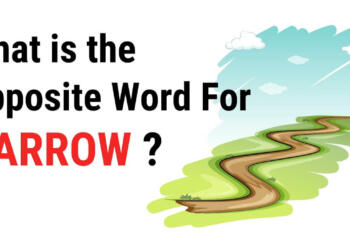 Opposite Word of Narrow