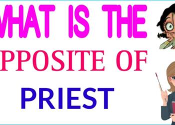 Opposite word Priest