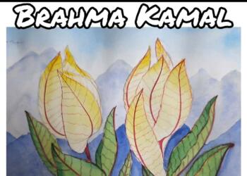 State Flower of Uttarakhand