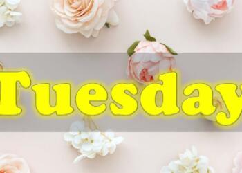Tuesday Quotes