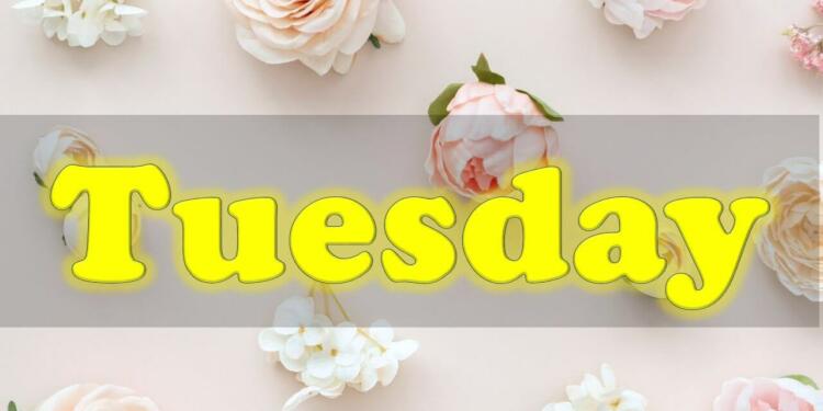 Tuesday Quotes