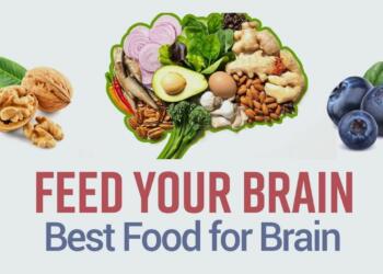 Foods for Brain and Memory