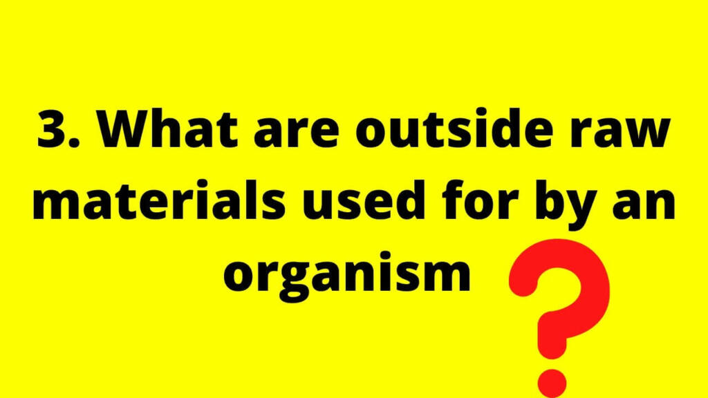 What Are Outside Raw Materials Used for by an Organism?