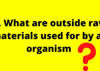 What Are Outside Raw Materials Used for by an Organism?