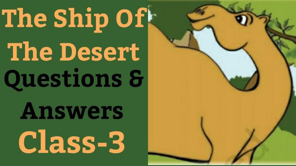 Why is Camel Called the Ship of the Desert