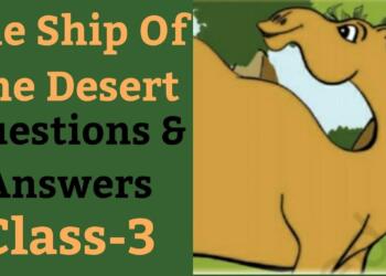 Why is Camel Called the Ship of the Desert