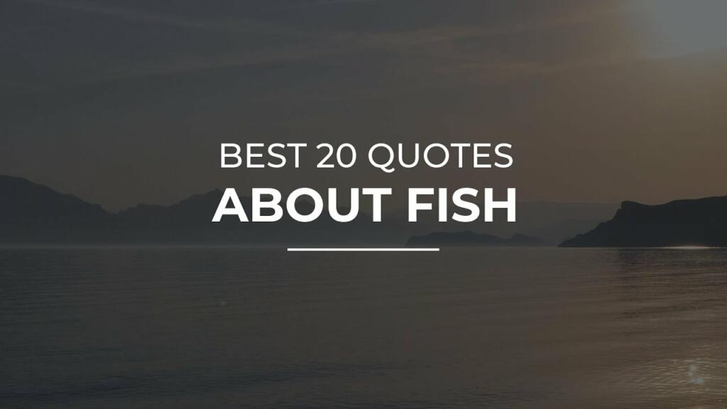 Fish Quotes