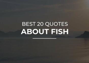 Fish Quotes
