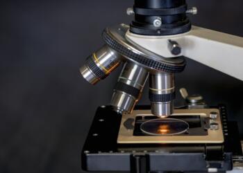 Exploring Sermorelin: Its Possible Role and Mechanism in Tissue Growth