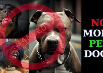 Dog Import Ban, Breeding Ban, Sale Ban, Aggressive Dog Breeds, Safety Regulations