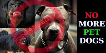 Dog Import Ban, Breeding Ban, Sale Ban, Aggressive Dog Breeds, Safety Regulations