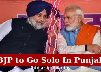 BJP, SAD, Shiromani Akali Dal, Punjab, Elections, Lok Sabha