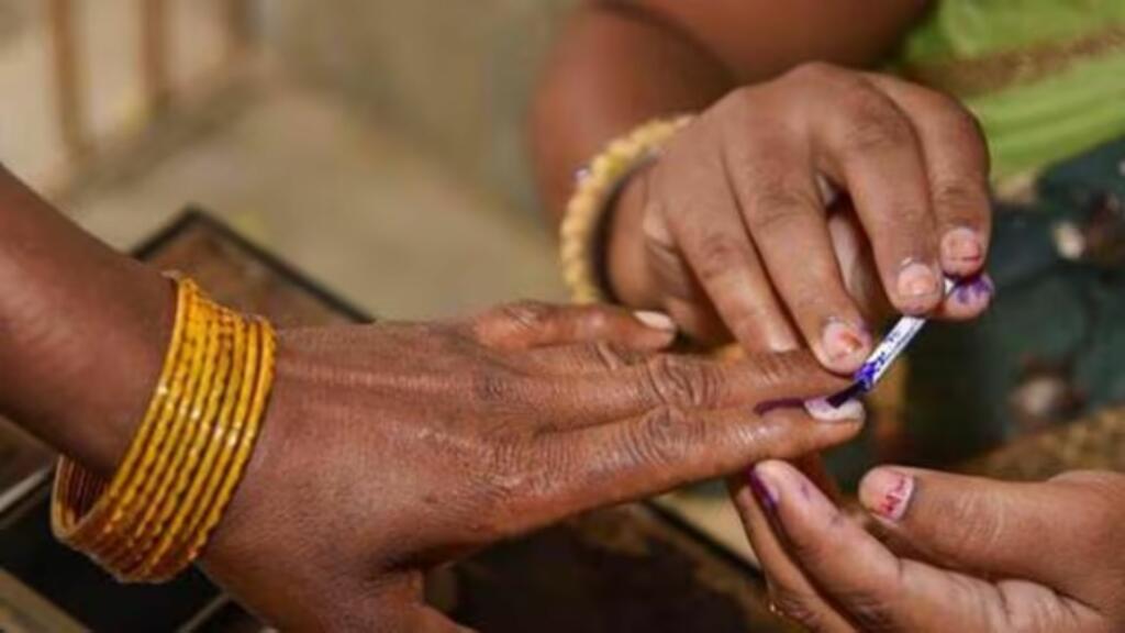 India, Elections, Voting, Purple Legacy, Inedible Ink