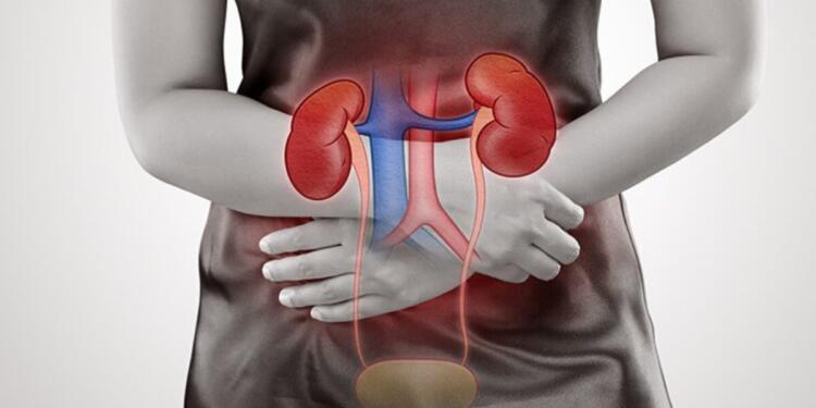 kidney, health, ckd, dialysis, kidney failure, hyperftension, sugar