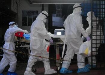 corona virus, Nipah Virus, Trending, Analysis, Symptoms of Nipah Virus, Treatment of Nipah Virus, Nipah virus Symptoms, News, Important News, Important News Today, Today's News