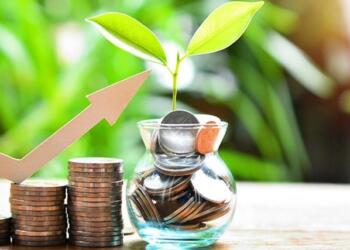 What is Tax Savings FD? How Much Can You Save?