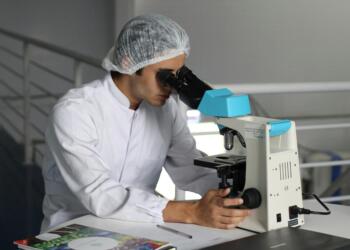 Technological and innovative developments in medical studies abroad