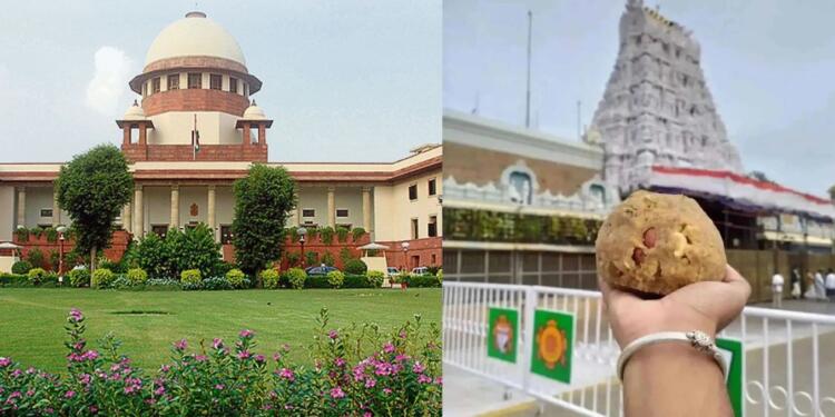 Tirupati laddu row: CBI to oversee investigation, Supreme Court appoints special team