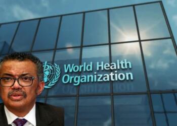 Narrow Escape for WHO Chief during Israel Airstrike in Yemen